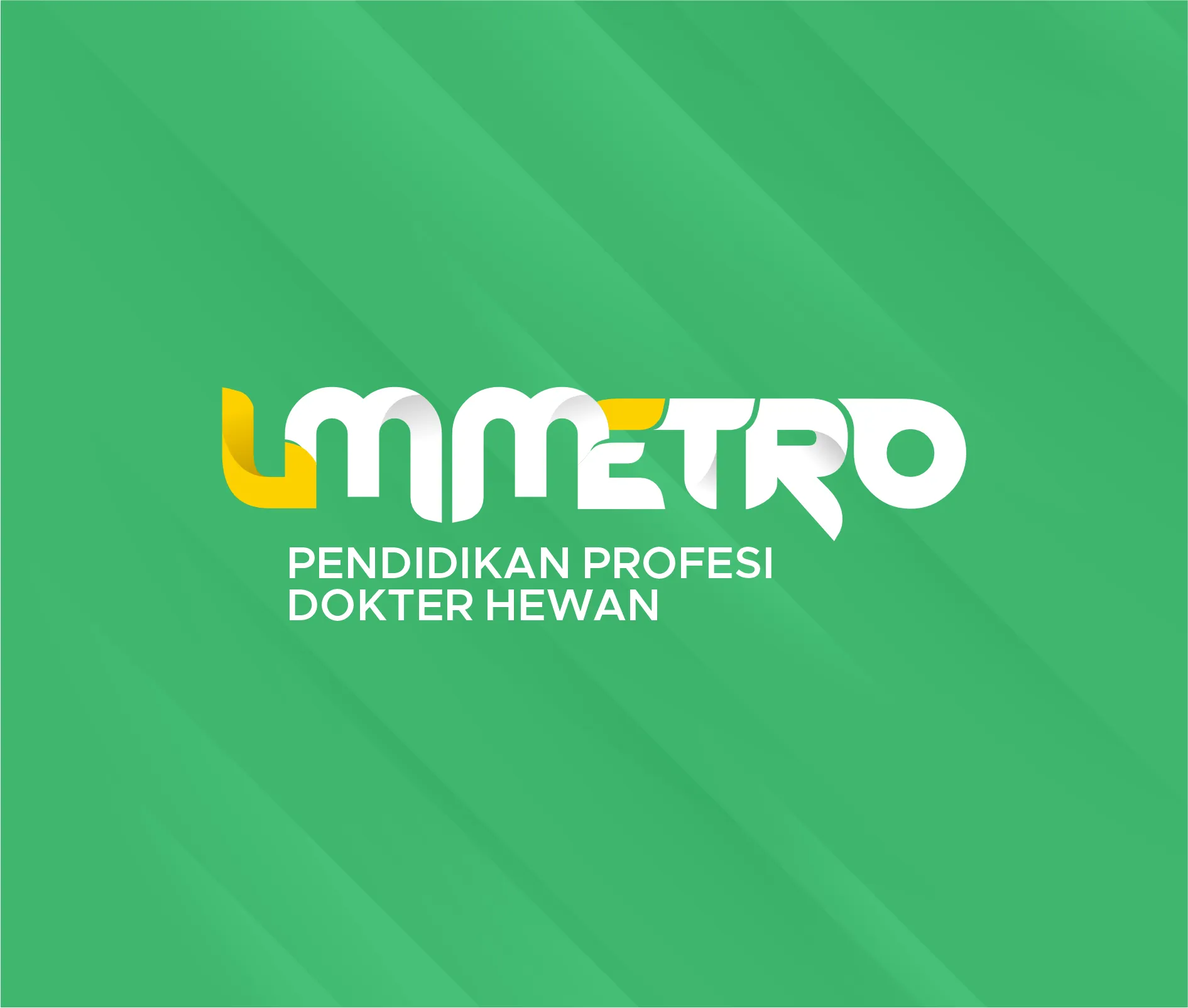 Profesi Dokter